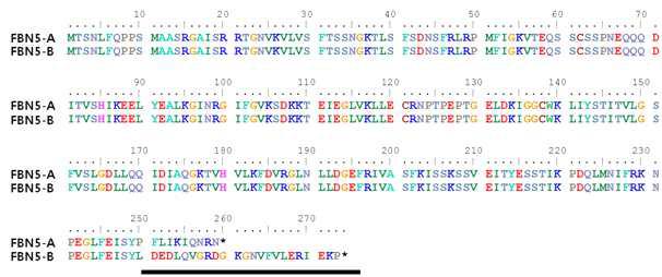 FBN5 유전자에 의해 생성되는 두 종류의 단백질 FBN5-A와 FBN5-B.