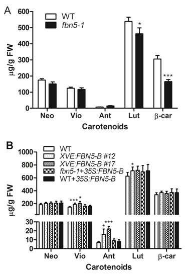 FBN5의 결핍이 잎의 카로테노이드 함량에 미치는 영향.