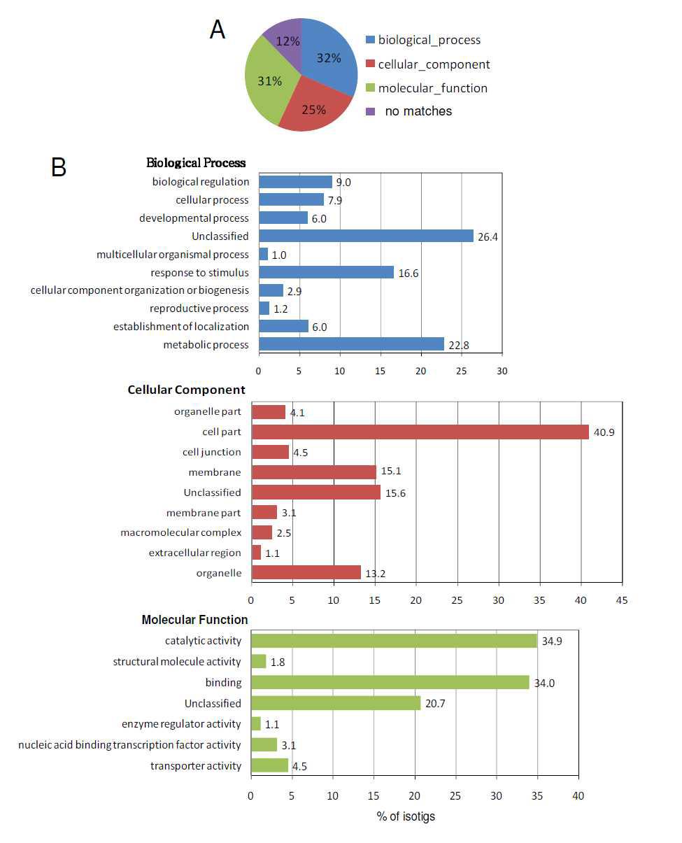 종자에서 발현되는 모든 isotig전사체의 Gene ontology (GO) 분석 (A) 38,002 isotig의 GO 분포 (B) 서브그룹 GO의 isotig 분포도