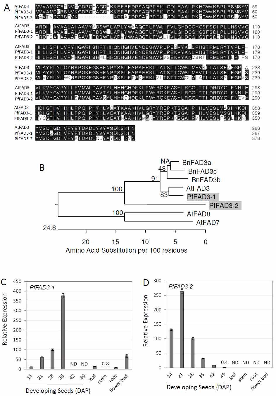 레스퀘렐라 PfFAD3 유전자의 특성 (A) 애기장대 FAD3와 레스퀘렐라에서 분리된 두종의 PfFAD3-1과 PfFAD3-2 효소의 단백질 염기서열 비교 (B) 유채, 애기장대, 레스퀘렐라 FAD3와 애기장대 FAD7과 FAD8간의 연관 tree 분석 (C) PfFAD3-1과 PfFAD3-2 유전자의 조직별 발현 분석