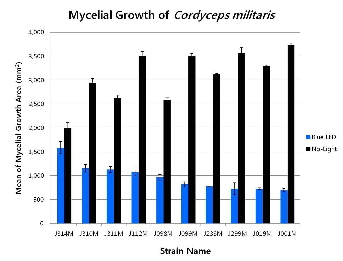 밀리타리스동충하초 성장성 우수균주 선발 (1차)