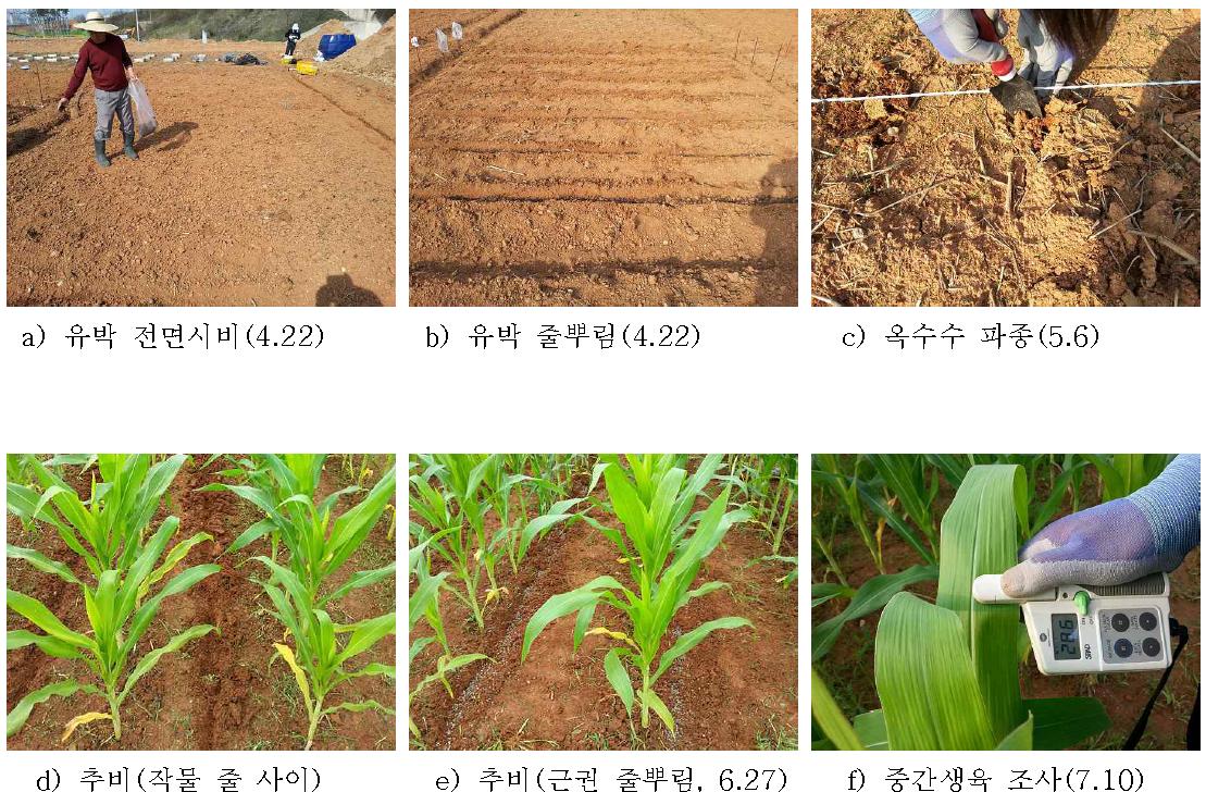 시험구 처리 내용 및 작물 재배 시험 전경