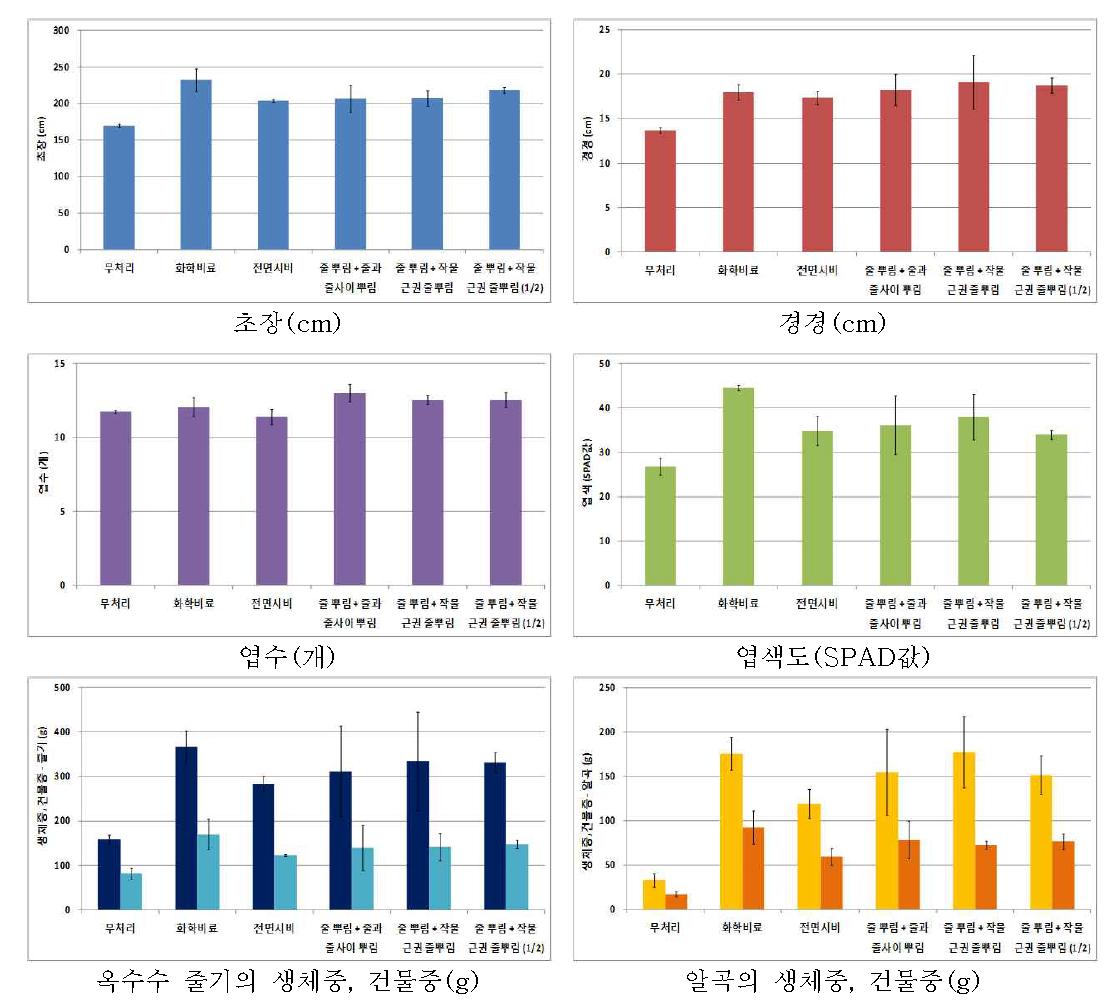 유기물 처리 방법에 따른 옥수수의 초장, 경경, 엽수, 엽색도, 줄기의 생체중과 건물 중, 알곡의 생체중과 건물중 비교(2013년)