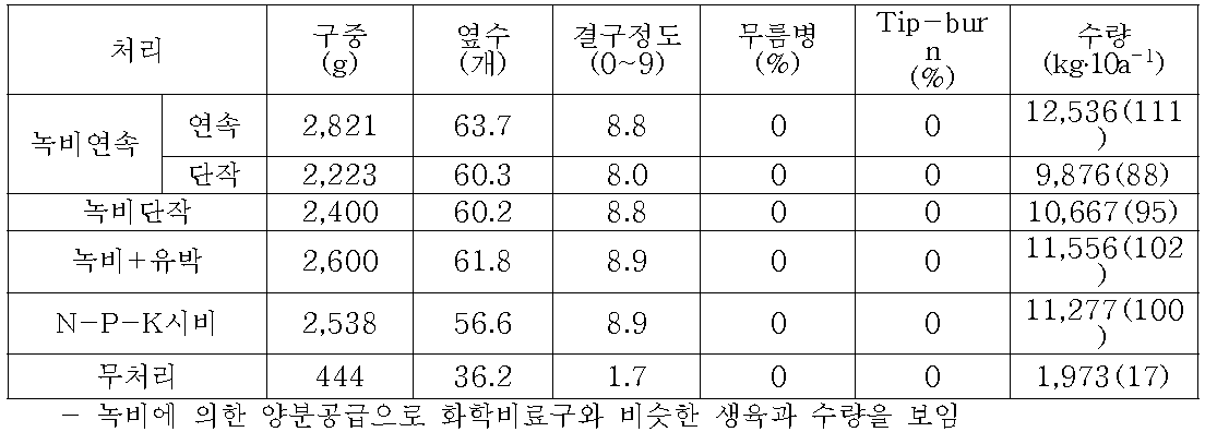 녹비처리 방법에 따른 가을배추의 생육과 수량(11월 5일 수확)