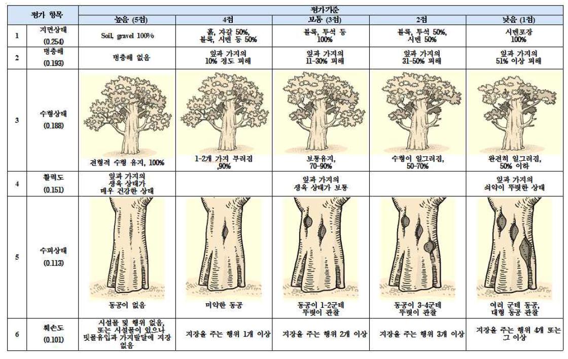 노거수의 건강성 평가체계