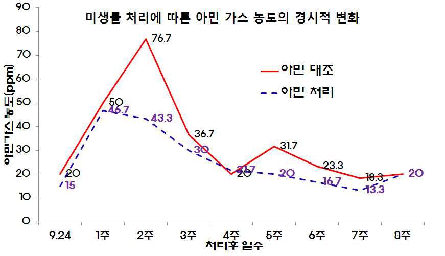 미생물 생균제 급이처리후 돈방내 아민가스 발생농도의 경시적 변화