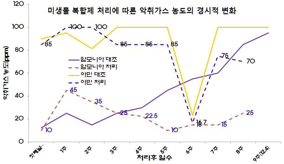 미생물 처리후 돈방내 악취가스 농도의 경시적 변화