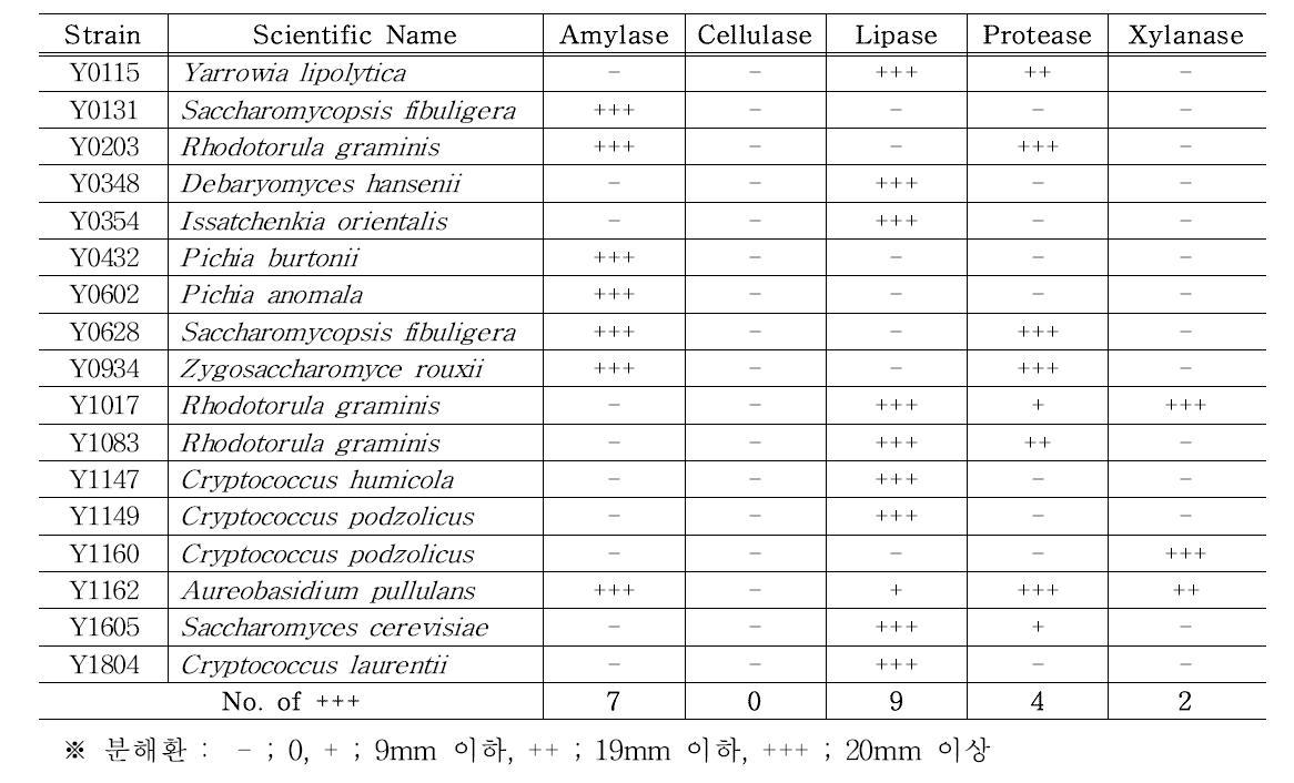 효모의 가수분해 효소 활성