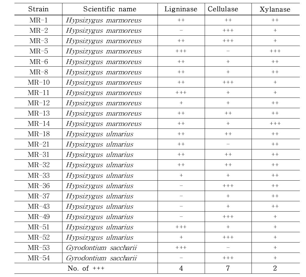 목질계 바이오매스 분해효소 활성을 나타내는 버섯 균주 목록