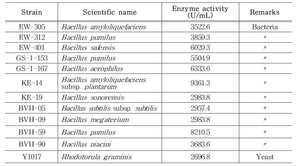 Xylanase 활성 우수 균주 목록