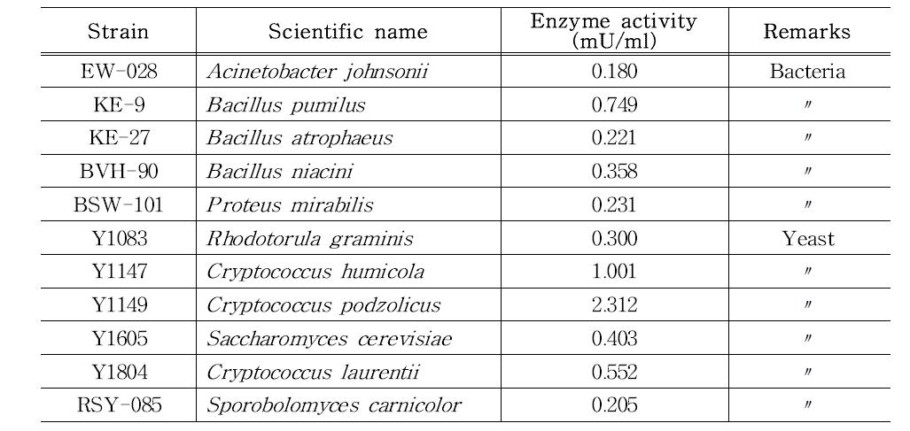 Lipase 활성 우수 균주 목록