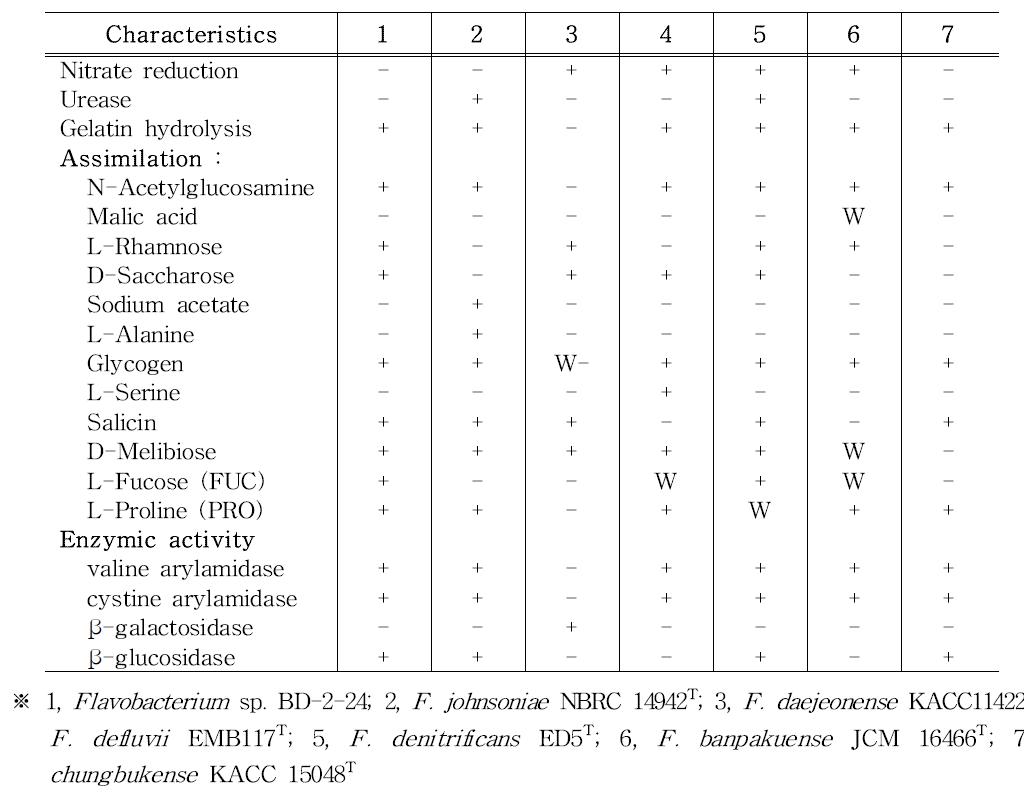 F lavobacterium sp. BD-2-24 및 근연종의 생화학적 특성