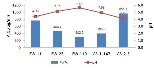 지렁이 및 인삼재배토 분리 세균의 Ca3(PO4)2 분해량 및 pH의 변화
