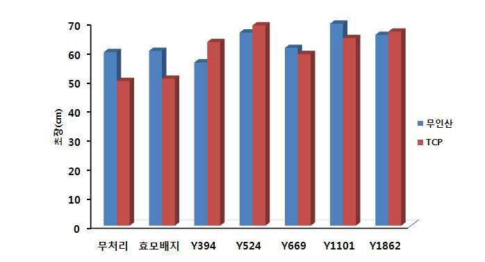 인산 가용화 효모 처리 후 토마토 초장