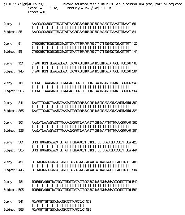 효모 Pichia farinosa NAAS-2 균주의 28S rDNA 염기서열 비교