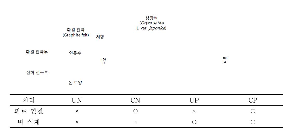 벼를 이용한 식물-미생물연료전지의 처리 내역