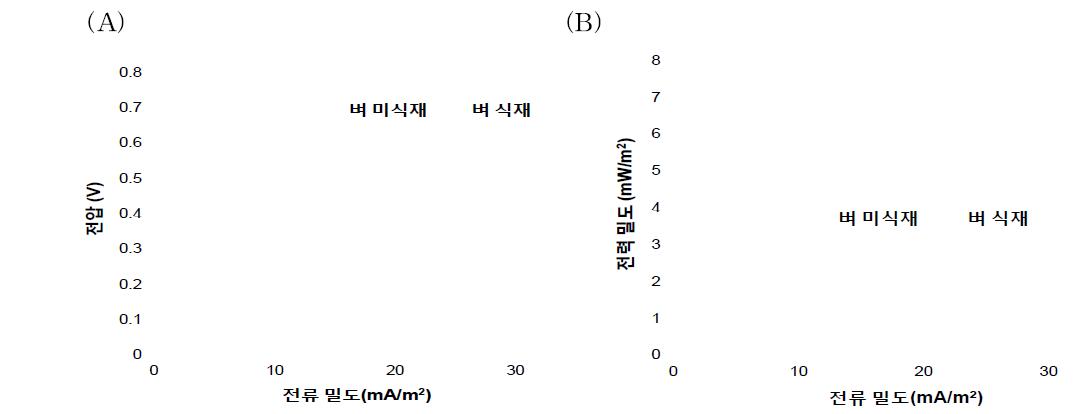 식물-미생물 연료전지의 분극 곡선(A)과 전력 곡선(B)