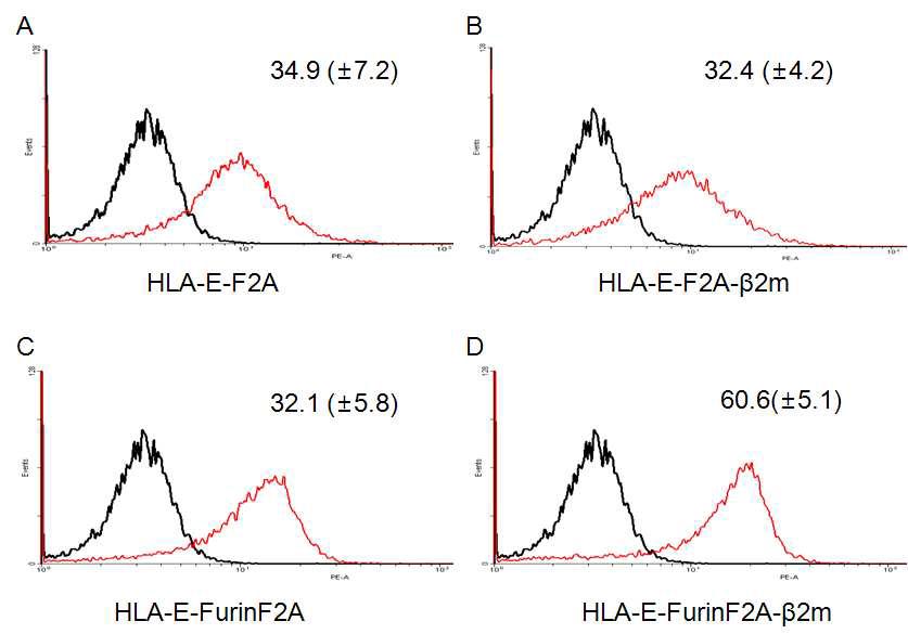 Flow cytomery 방법으로 HLA-E/beta2m 벡터가 도입된 돼지 섬 유아세포에서 HLA-E의 세포 표면 발현의 확인과 선별 방법의 확립