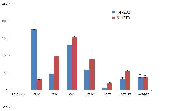 일반 세포주에서 다양한 프로모터의 발현 유도 능력 비교. 돼지 엑틴 프로모터(pACT), 돼지 Ef1a 프로모터(pEf1a), 돼지 엑틴+돼지 Ef1a 프로모터(pACT+pEF), 돼지 엑틴+사람 Ef1a 프로모터(pACT+hEF)의 luciferase 발현 유도 능력을 사람유래 HEK293 세포와 생쥐유래 NIH3T3 세포에서 비교 분석. CMV, hEF1a, CAG 프로모터는 대조군으로 사용함.