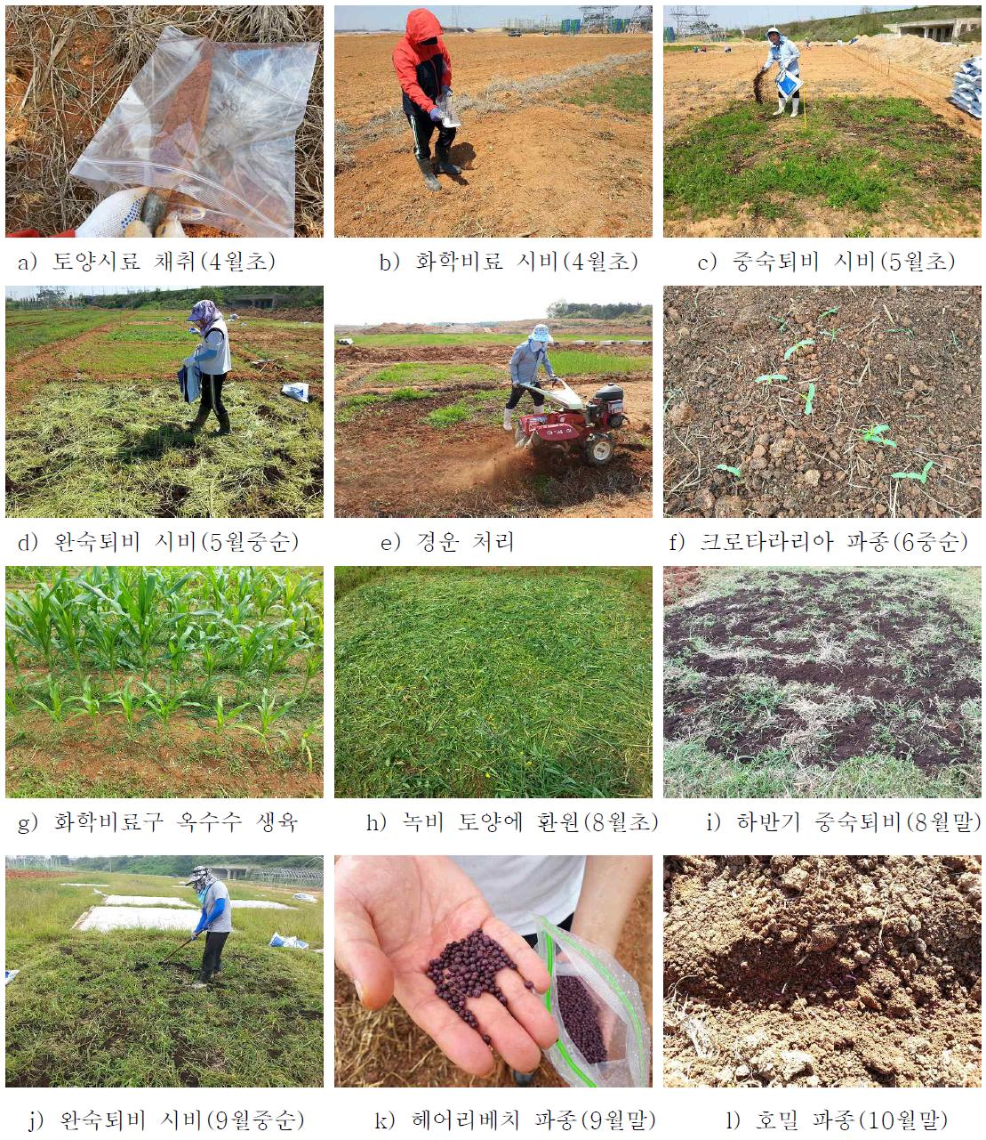 시험구 처리 과정 및 시기