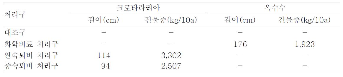 처리 19주후의 크로타라리아와 옥수수 생장상태