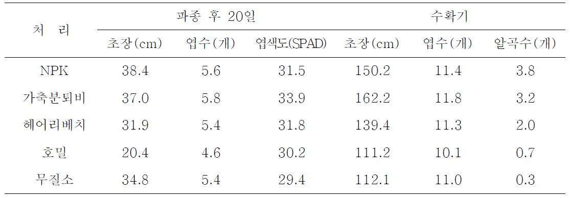 처리별 옥수수 생육상황 및 수량