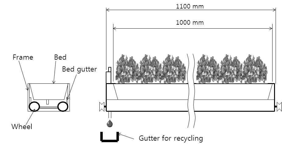 Schematic diagram of cultivation bed.