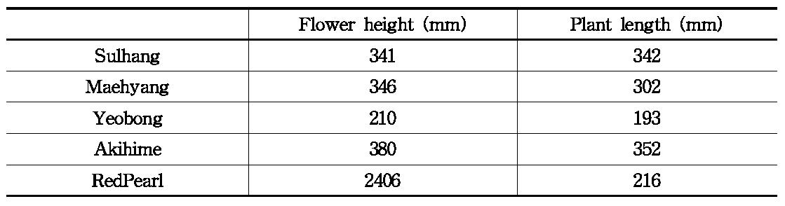 The flower height and plant length of strawberries