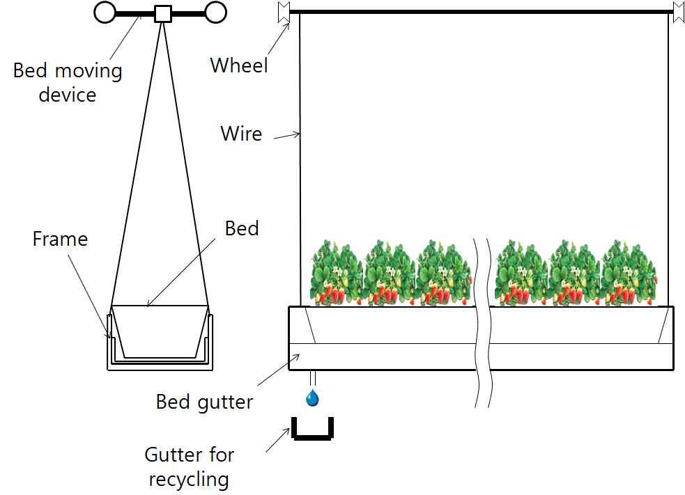 Schematic diagram of cultivation bed.