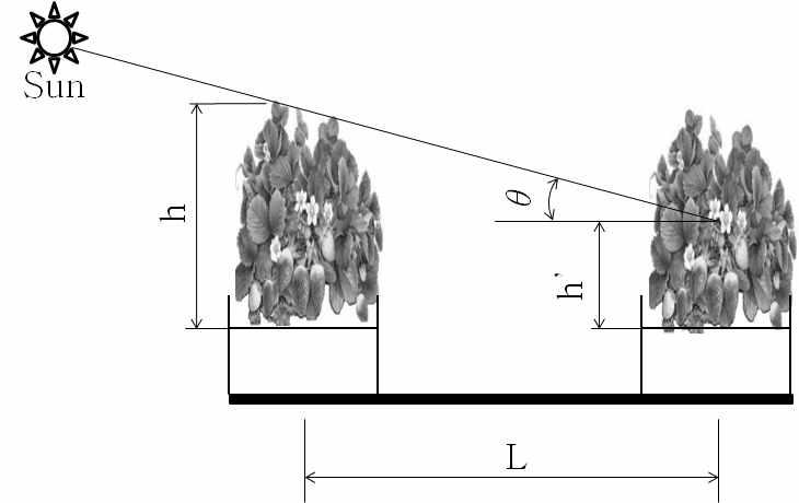 Schematic diagram for calculating the distance between cultivation beds.