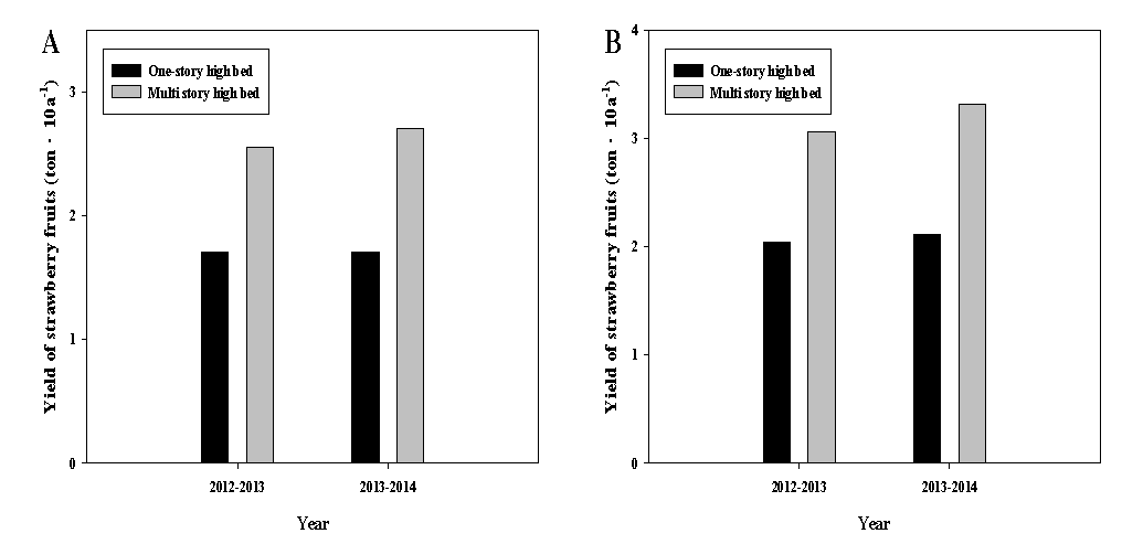 The yield of strawberry fruit on multi-story high bed compared to those of one-story high bed. A: 