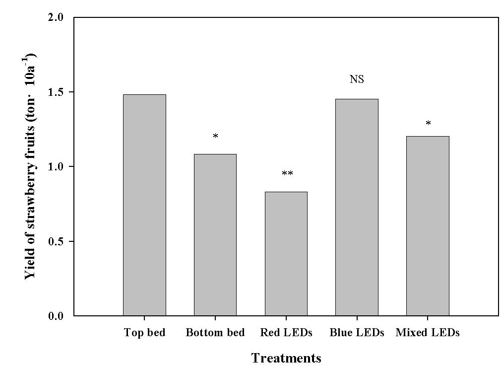 The effect of LED lights illumination on the yield of strawberry fruits grown under Bottom bed