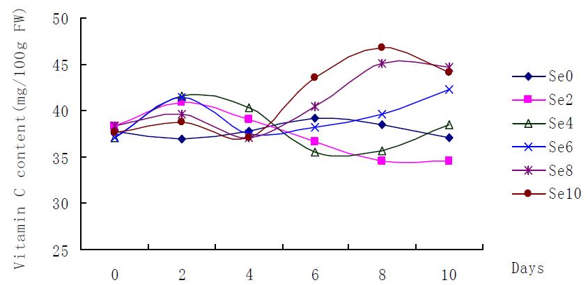 The effect of different selenium content treatment on the vitamin C content of lettuces.