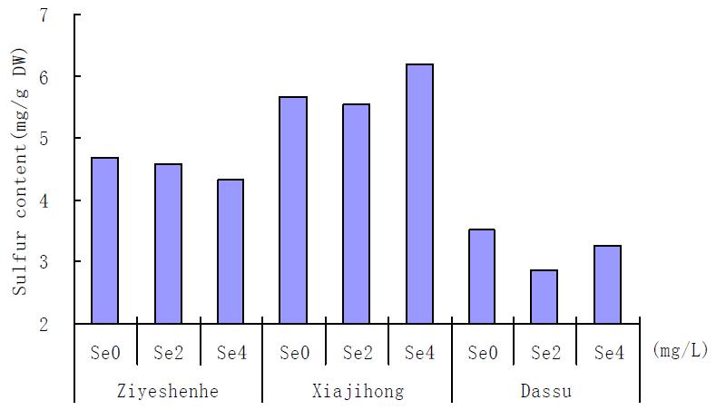 The effect of different selenium content treatment on the Sulfur content of lettuces.