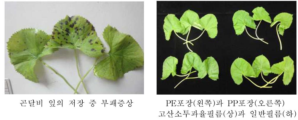 곤달비 잎의 수확 후 부패증상과 저온(5℃)저장 시 고산소투과율 PE