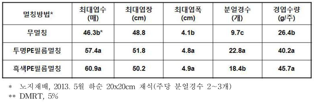 산파 분주묘의 재식 1년차 경엽생육 및 수량