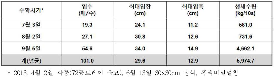 섬엉겅퀴의 재식 1년차 재배시 생육 및 수량성