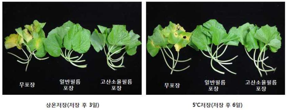 고추냉이 잎의 저장온도 및 포장방법별 품질 비교