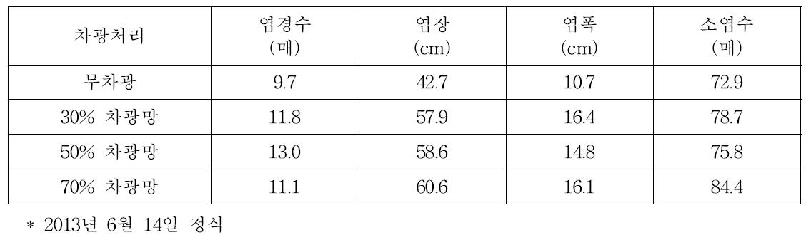 차광재배시 차광망 피복처리별 신선엽 생육