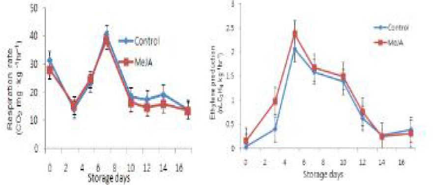 아스파라거스 MeJA처리에 의한 저장기간 중 호흡량(A) 에틸렌 발생량(B)의 변화