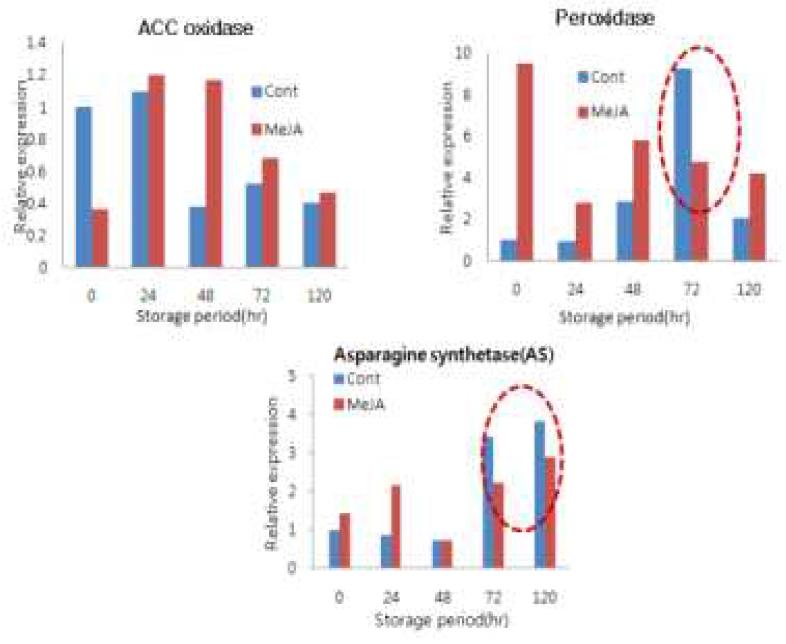 아스파라거스 MeJA 처리에 따른 노화관련 유전자 발현패턴 분석