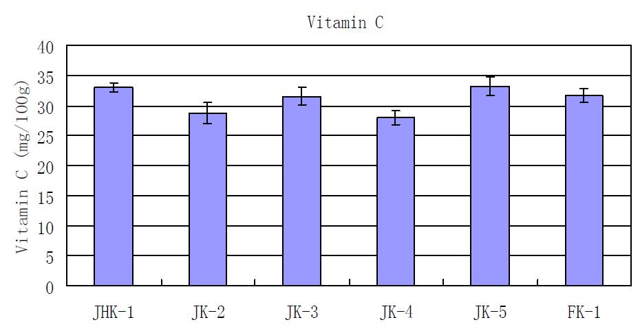 공심채 비타민 C 함량 비교