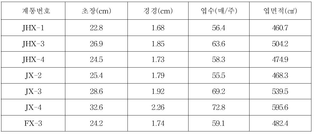 중국 비름 수경재배 시 일반 생육특성