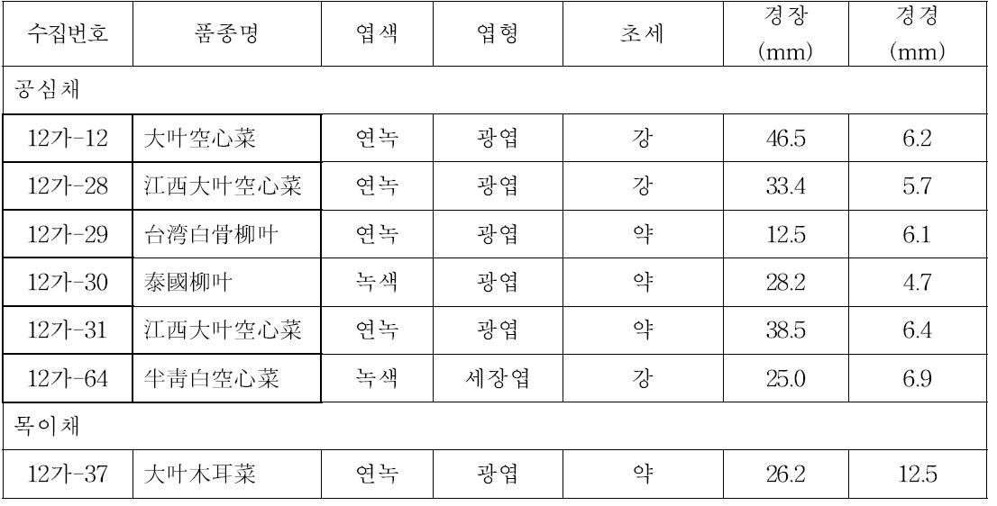 공심채 및 목이채 품종의 정식 후 생장특성 조사(파종: 7. 2, 정식: 8. 3, 조사: 9. 10)