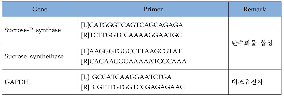 Primer design for carbohydrate synthesis-related genes in tomato leaves