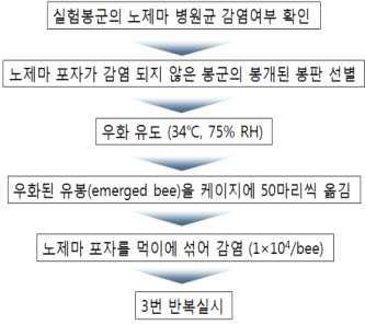 꿀벌 노제마 포자 증식 억제 물질 선발 위한 실험모델 개발