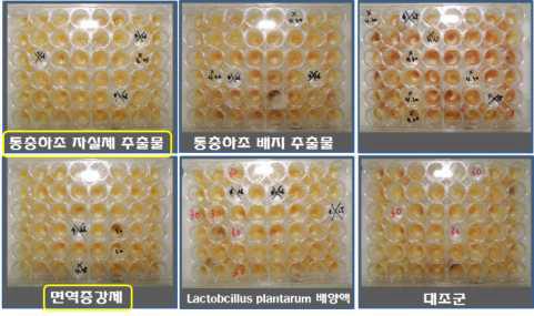 꿀벌 유충 실내 배양기술을 이용한 미국 부저병 방제 물질 검정