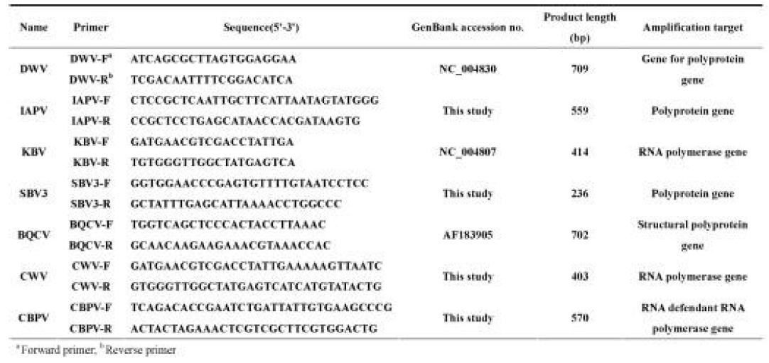 Oligonucleotide primers employed in RT-PCR　assays