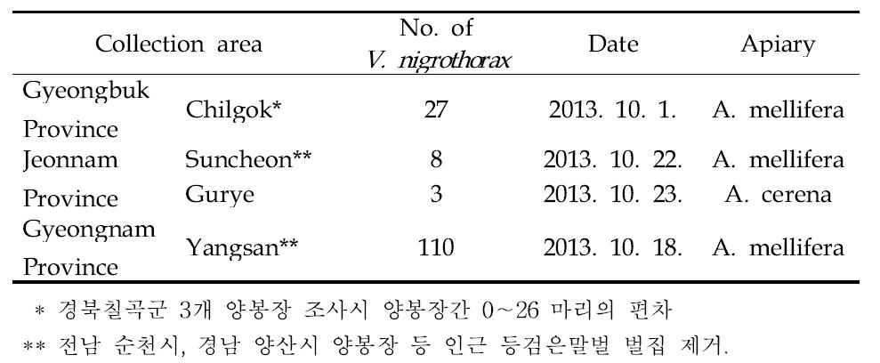 Occurrence of Vespa vellutina nigrothorax in the apiary of Gyeongnam and Gyeongbu province in 2013