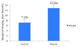 Effect of muzzle type protector about Vespa velutina.